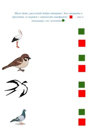 Околен свят