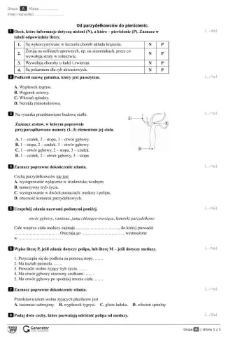 Od parzydełkowców do pierścienic