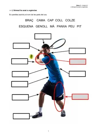 Bàsic 3 U8-2 Les parts del cos