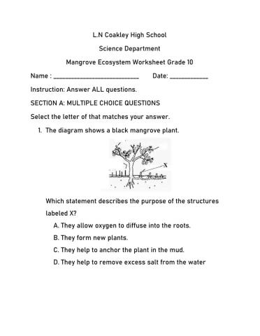 Mangroves Worksheet