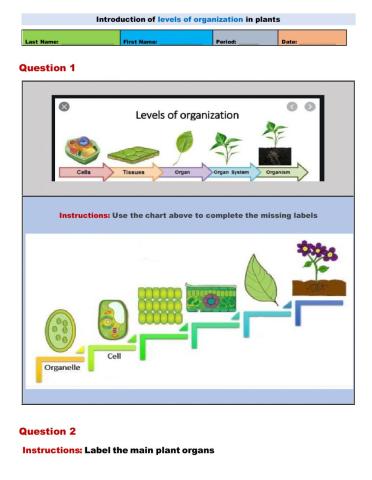 Levels of organization of Plants