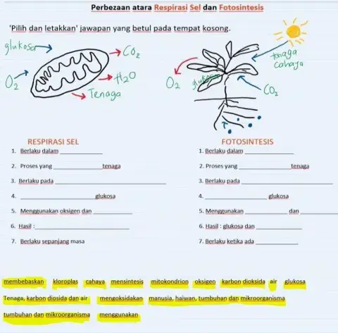 Resiprasi vs fotosintesis
