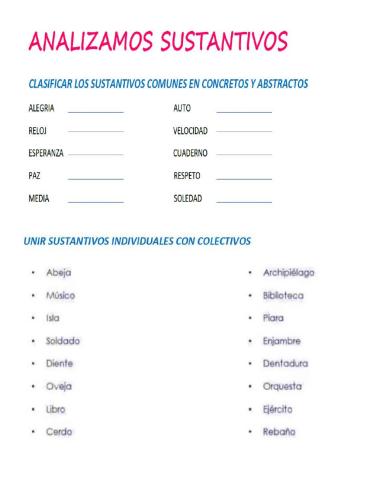 Clases de Sustantivos