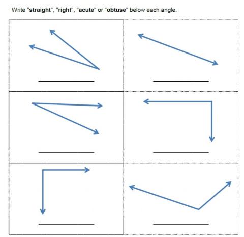 Types of Angles
