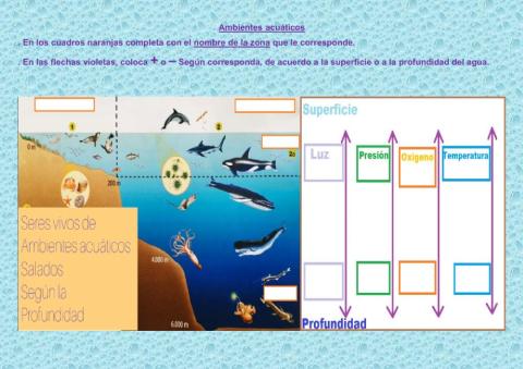 Trabajo práctico ambientes acuáticos