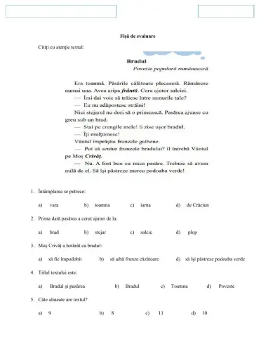 Evaluare CLR - textul