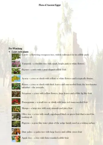 Flora of Ancient Egypt