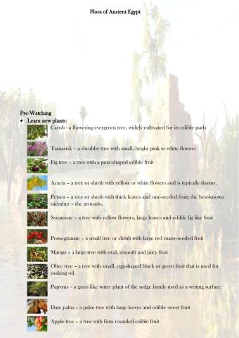 Flora of Ancient Egypt