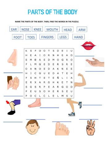 Parts of the body