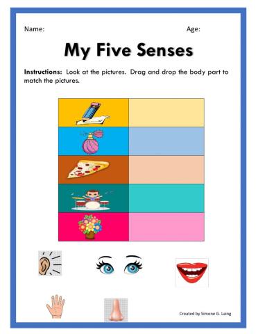 My Five Senses