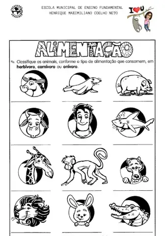 Alimentação dos animais