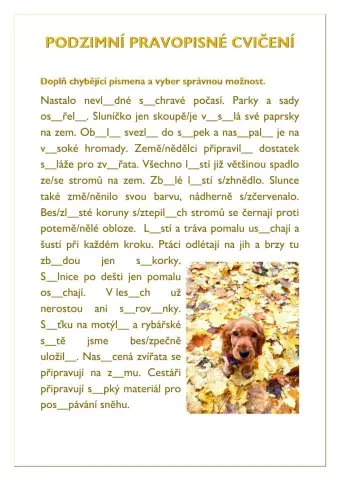 Podzimní pravopisné cvičení