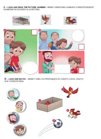 Drag and drop - Number the pictures