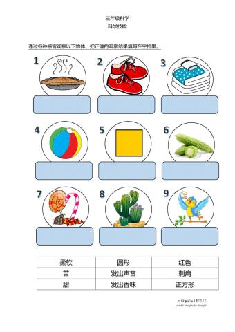 第一课：科学技能