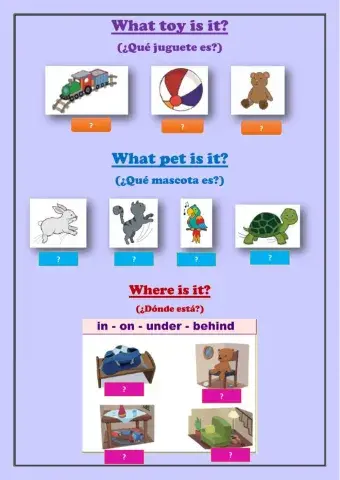 Oral Exam - Final Test