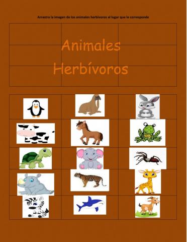 Animales herbívoros