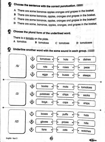 Phonics -s- -z- -iz-