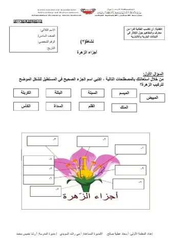 دورة حياة النبات الجزء(١)تدريب