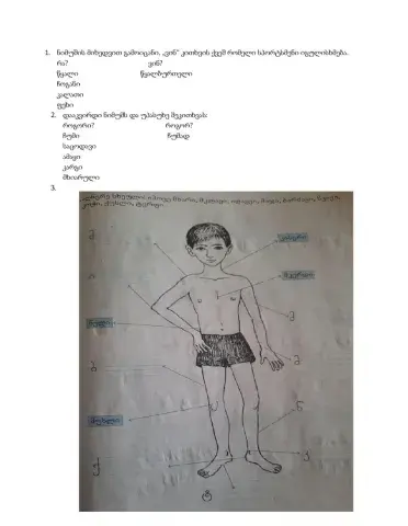 Შემაჯამებელი დავალება