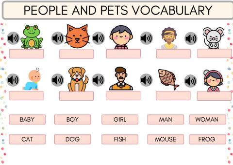 People and pets vocabulary