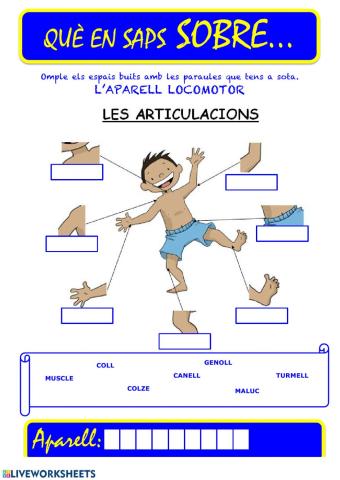 Aparell locomotor