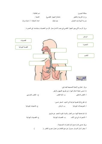 نشاط الجهاز التنفسي