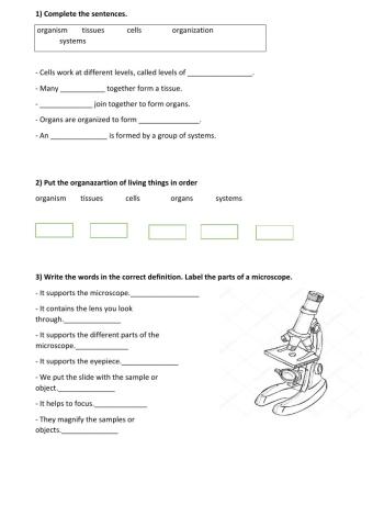 Organization of living things 1