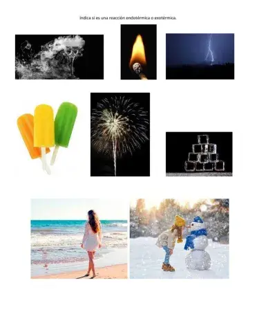 Reacciones endotérmica y exotérmicas