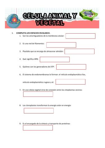 Orgánulos citoplasmáticos