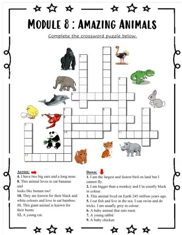 Module 8 : Amazing Animals