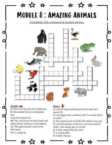 Module 8 : Amazing Animals