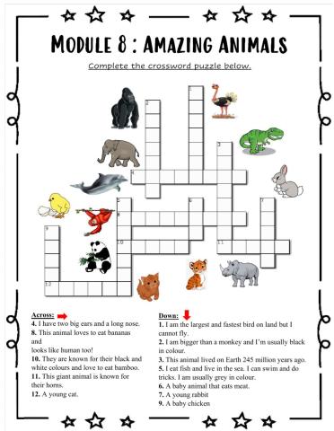 Module 8 : Amazing Animals