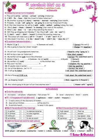 Mega 1 - unit 3 revision