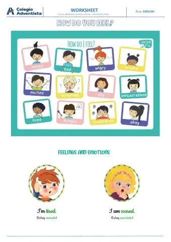 Feelings and Emotions