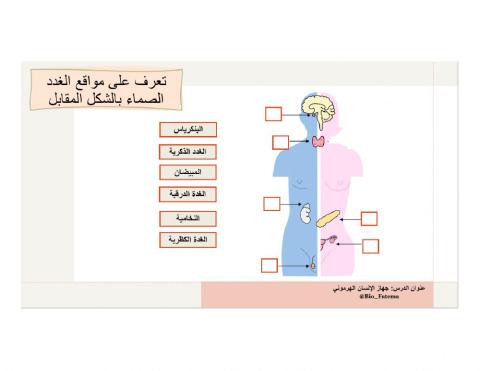 الغدد الصماء