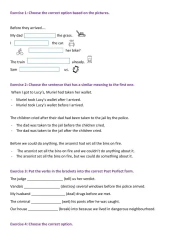 Past perfect simple - crime