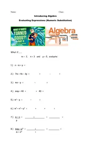 Evaluating Algebraic Expressions