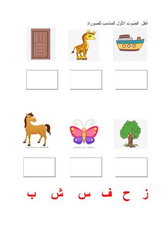 الصوت الأول