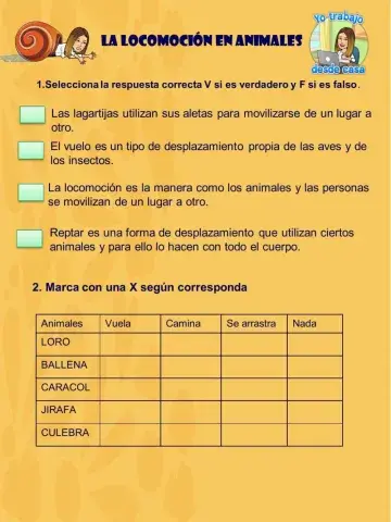 Locomoción en los animales