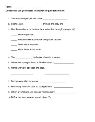 Science Homework (Sponges)