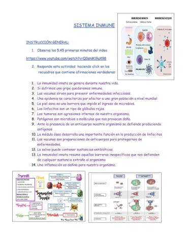 Sistema inmune: características