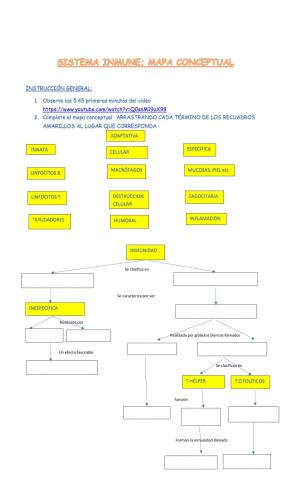 Sistema inmune - organización