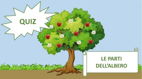Le parti dell'albero