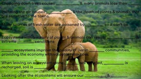 Factors affecting the ecosystem