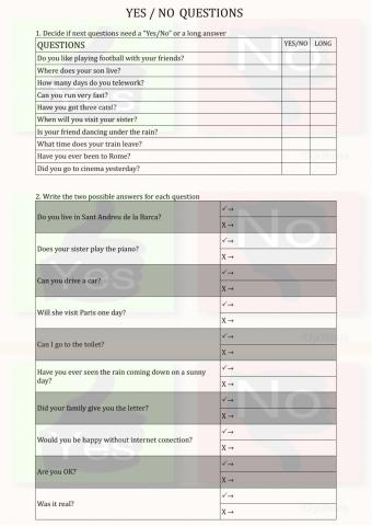 Yes - No Questions