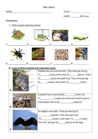 Welcome 3 Unit 3 test