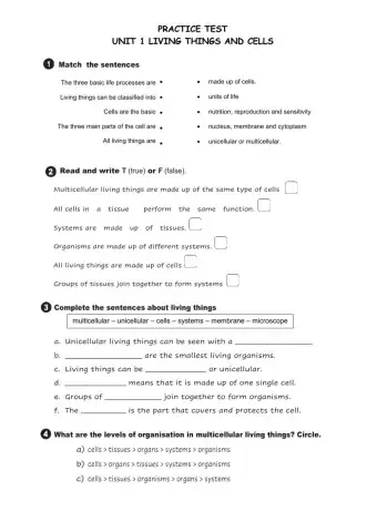 Living things and cells
