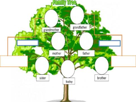 Family tree