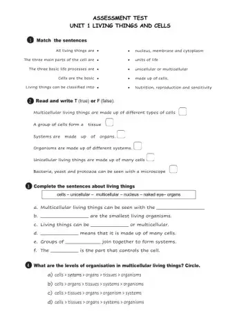 Living things and cells