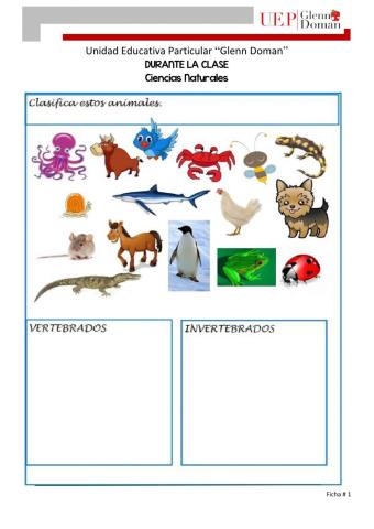 Clasificación de animales